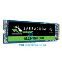 Barracuda 510 M.2 250GB [ZP250CM3A001]